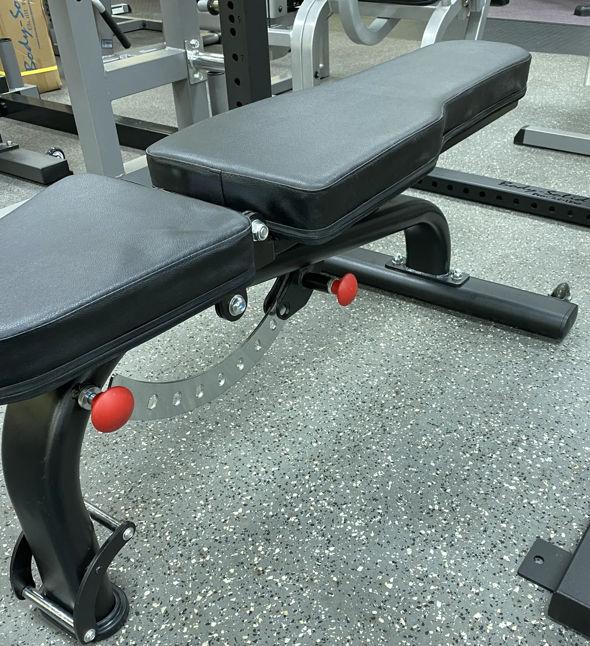 AgileFit Adjustable Bench