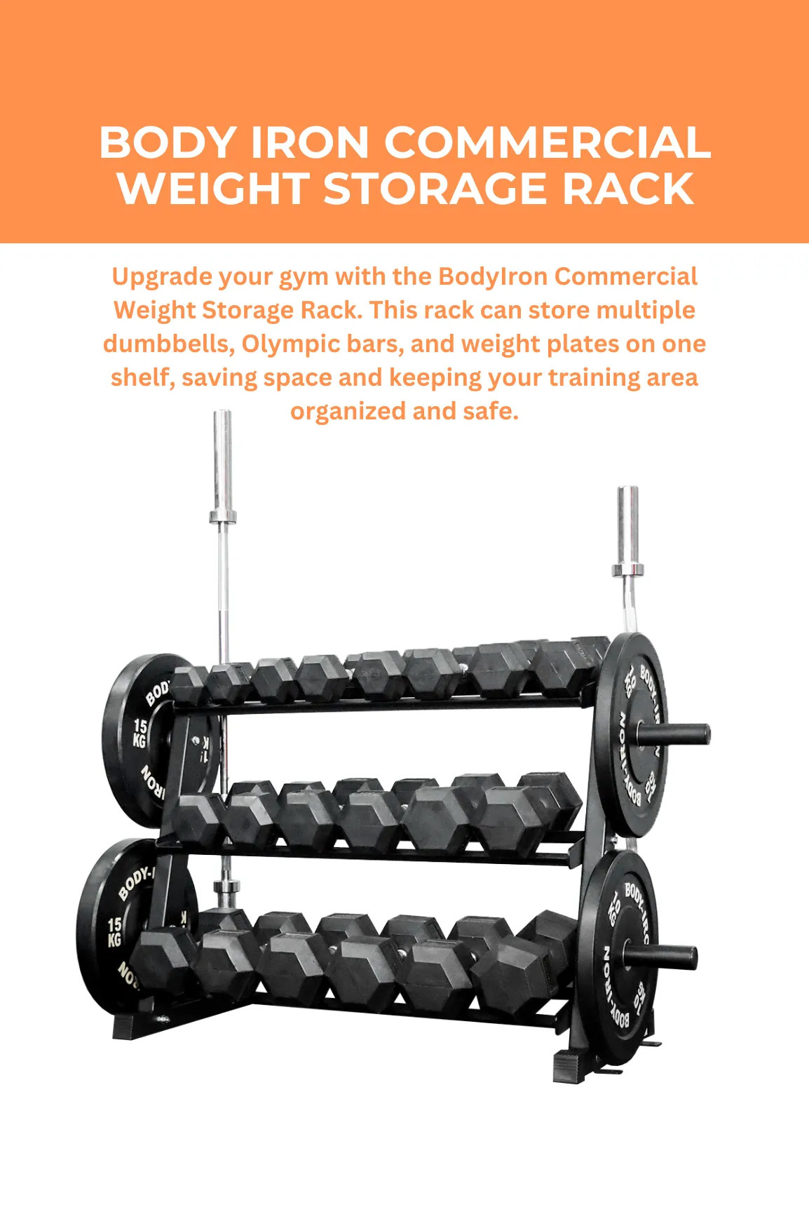 Body Iron Commercial Weight Storage Rack